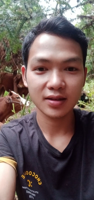 等AI的第一张照片--广西认干亲服务网