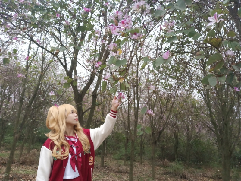 暮秋的第二张照片--广西认干亲服务网