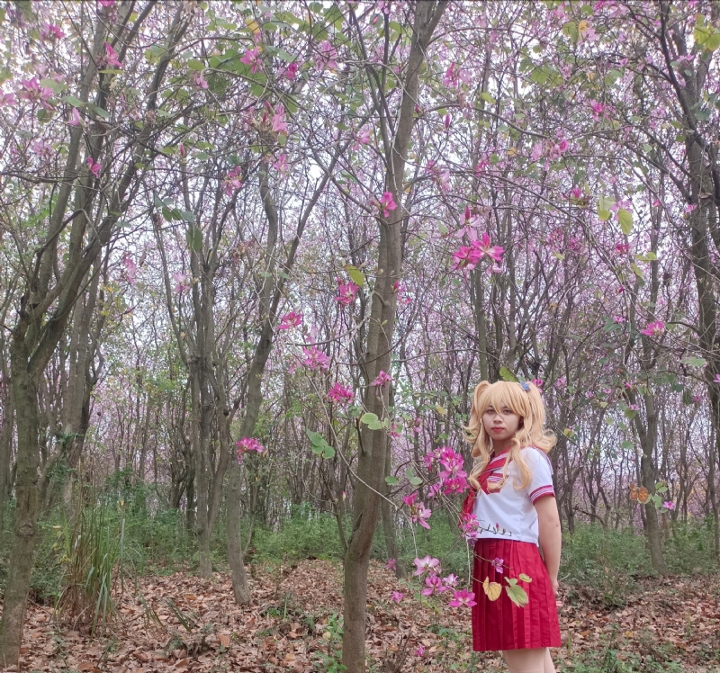 暮秋的第四张照片--广西认干亲服务网